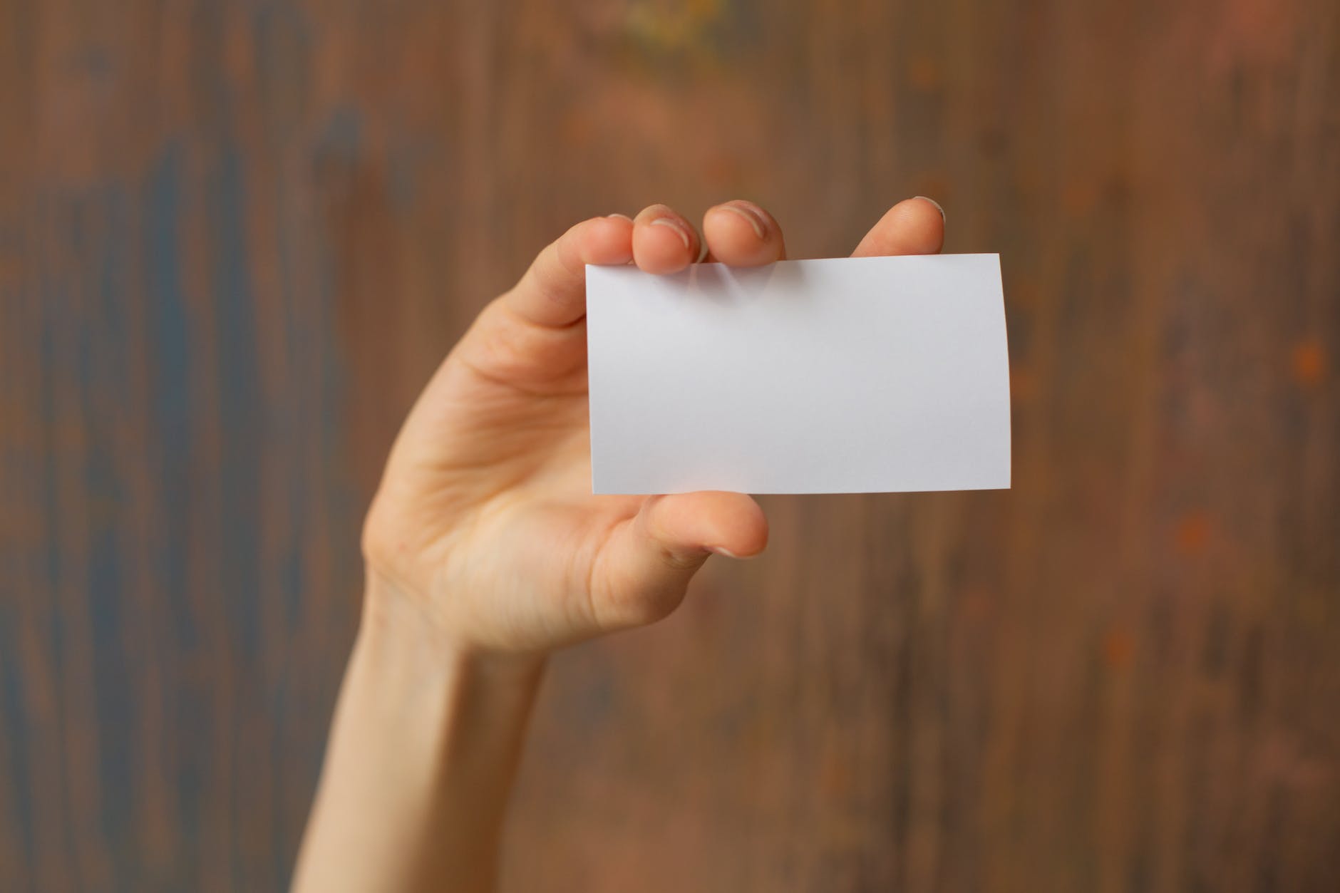 crop person showing blank business card